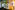 20190207-DSC01885