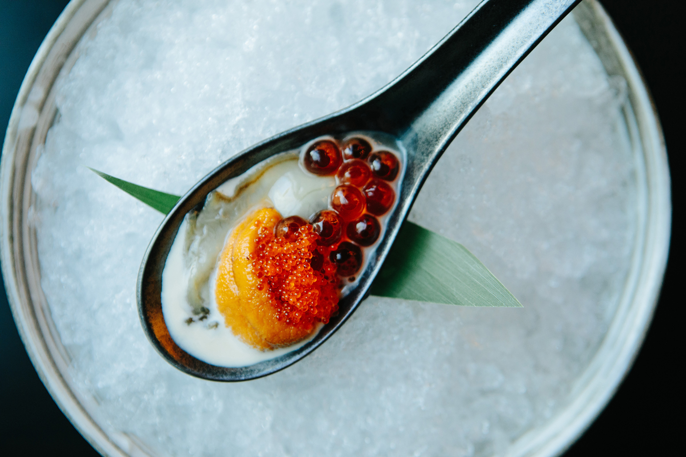 PABU BOSTON_Happy Spoon_BRIAN SAMUELS PHOTOGRAPHY_NOVEMBER 2016-5888
