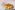 ESTIATORIO_ORNOS_1395-min